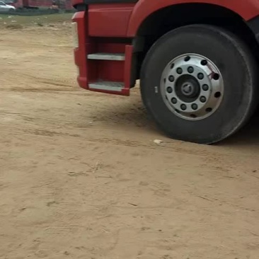 金花，