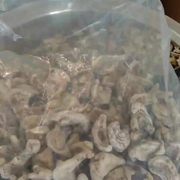家种白芨，包合量
