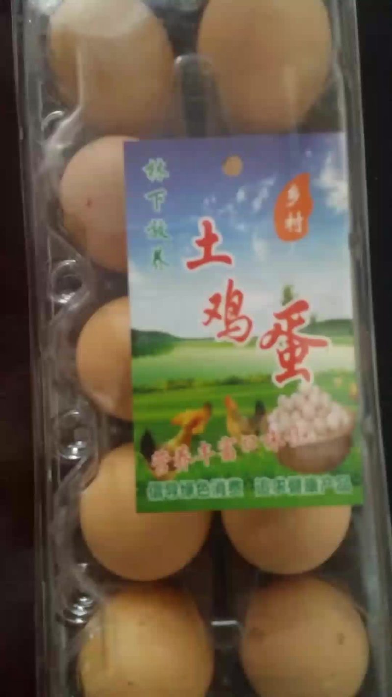 林下放养土鸡蛋。生态土鸡蛋