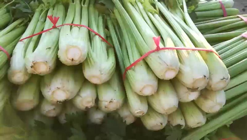 西芹