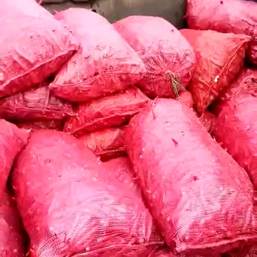 鲜辣椒