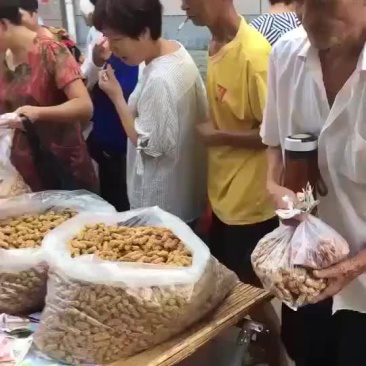 五谷燕麦酥
