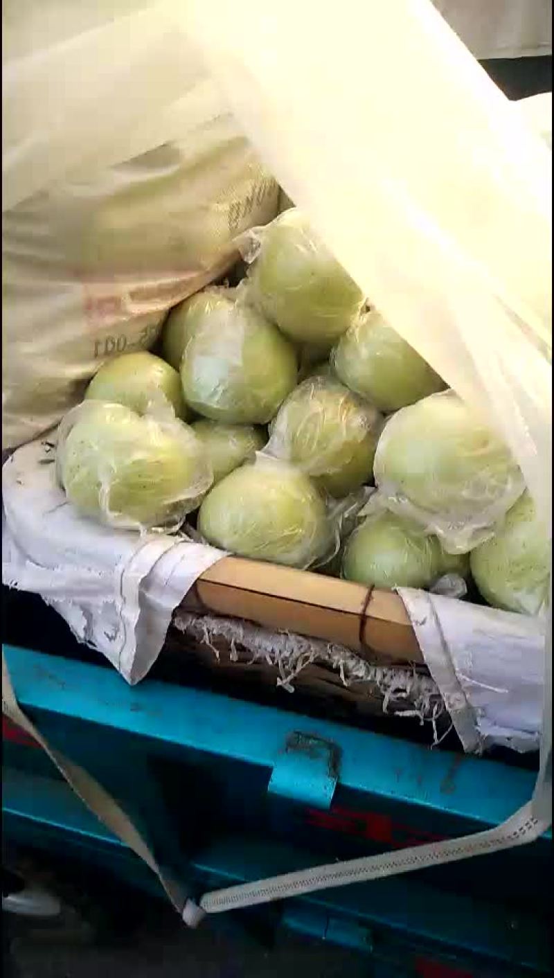 金帅苹果，山东的金帅青苹果上市，脆甜可口的