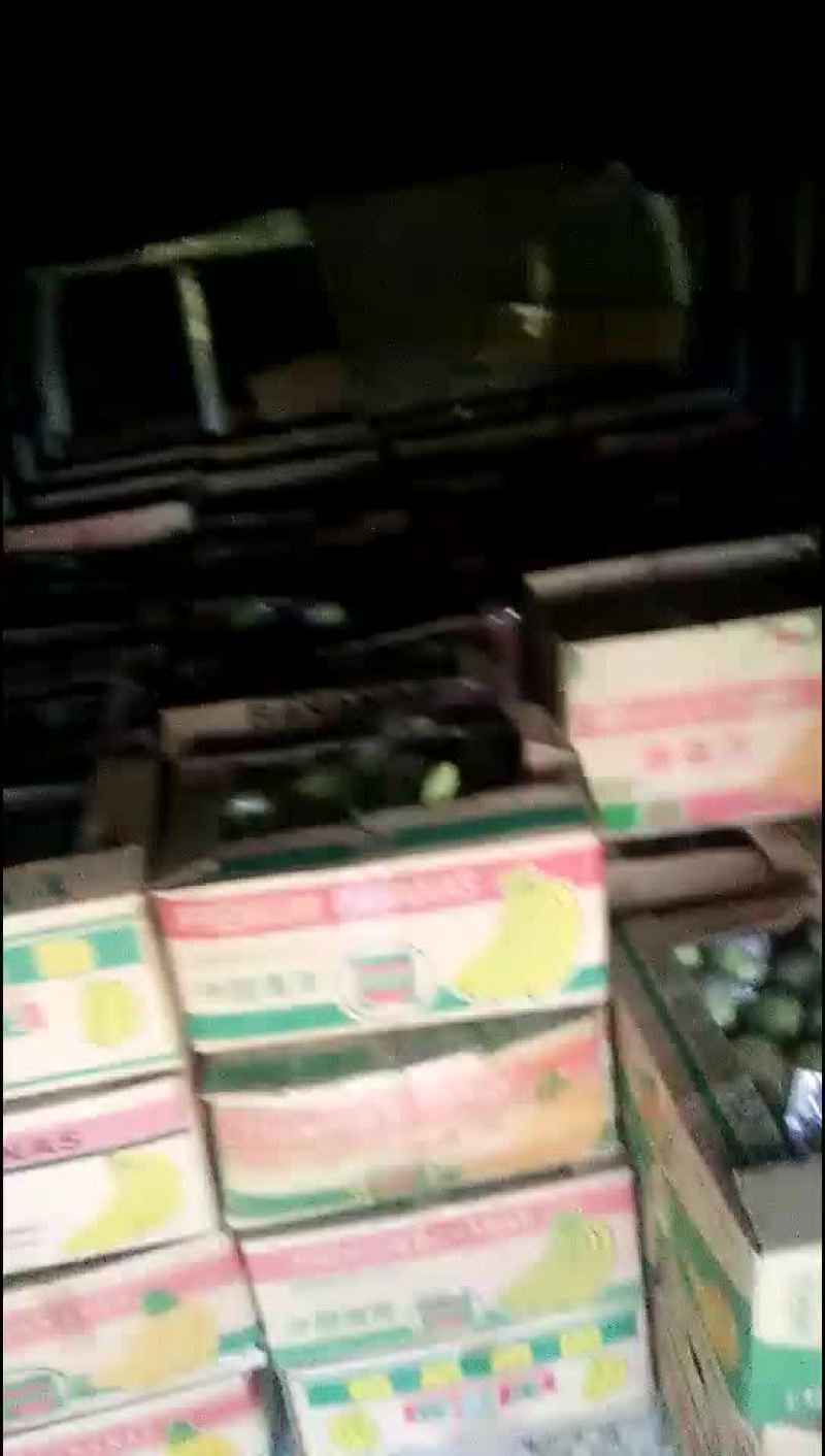 金帅苹果，山东的金帅青苹果上市，脆甜可口的