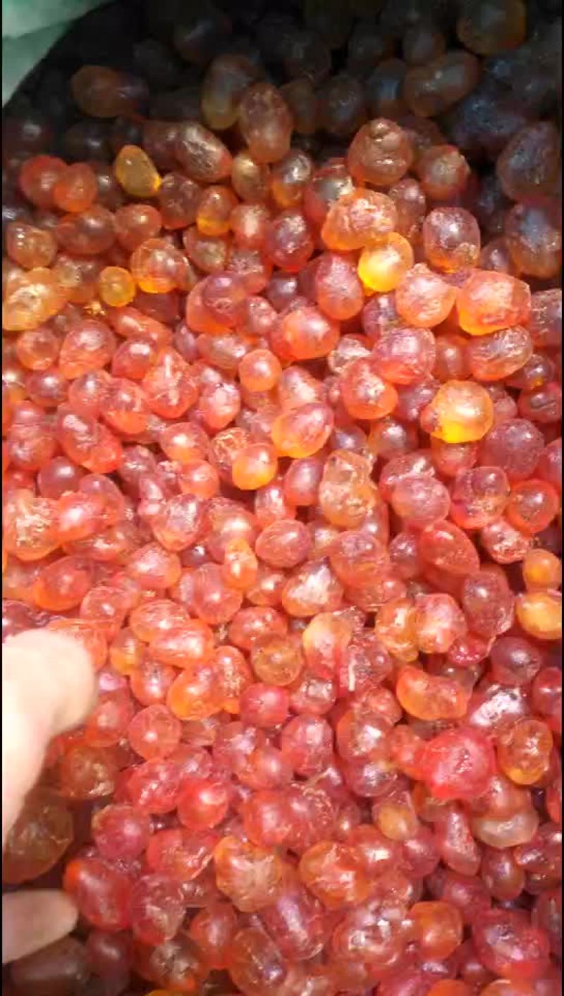 桃胶