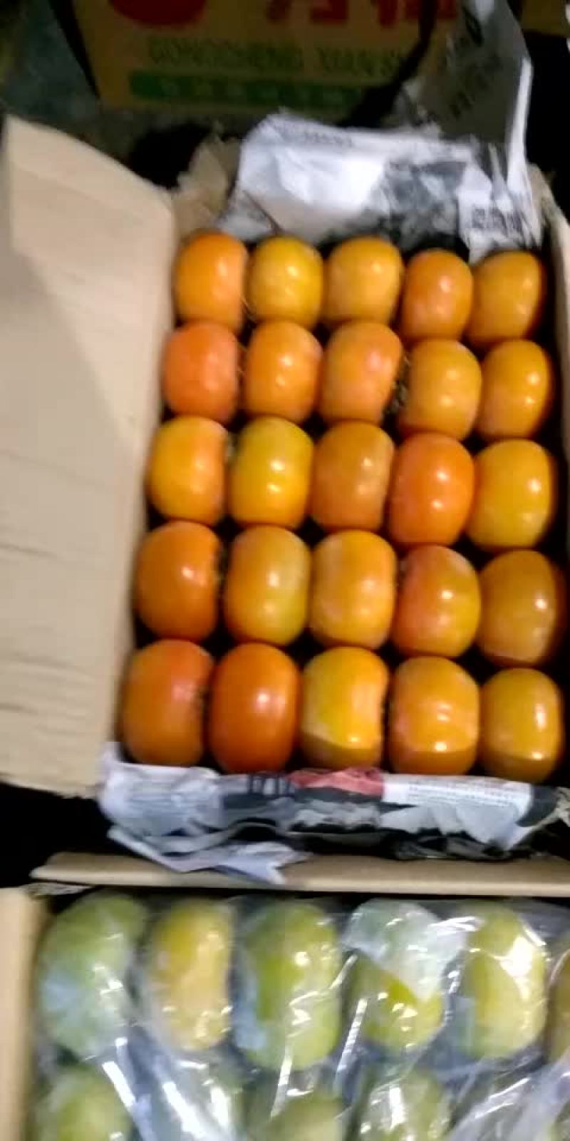 柿子类