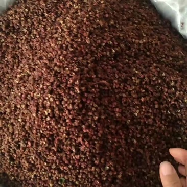 新货花椒各种规格齐全有需要老板欢迎咨询订购