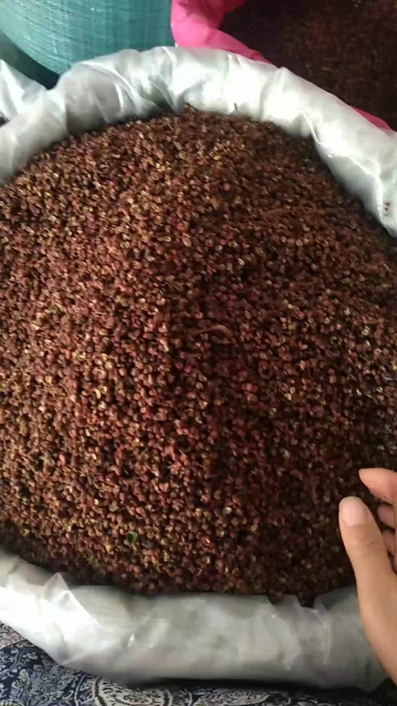 新货花椒各种规格齐全有需要老板欢迎咨询订购