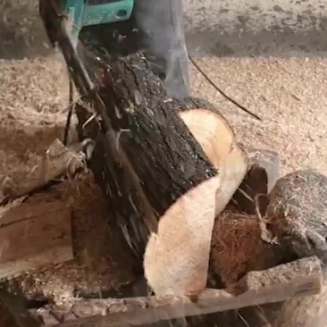 金丝楠乌木