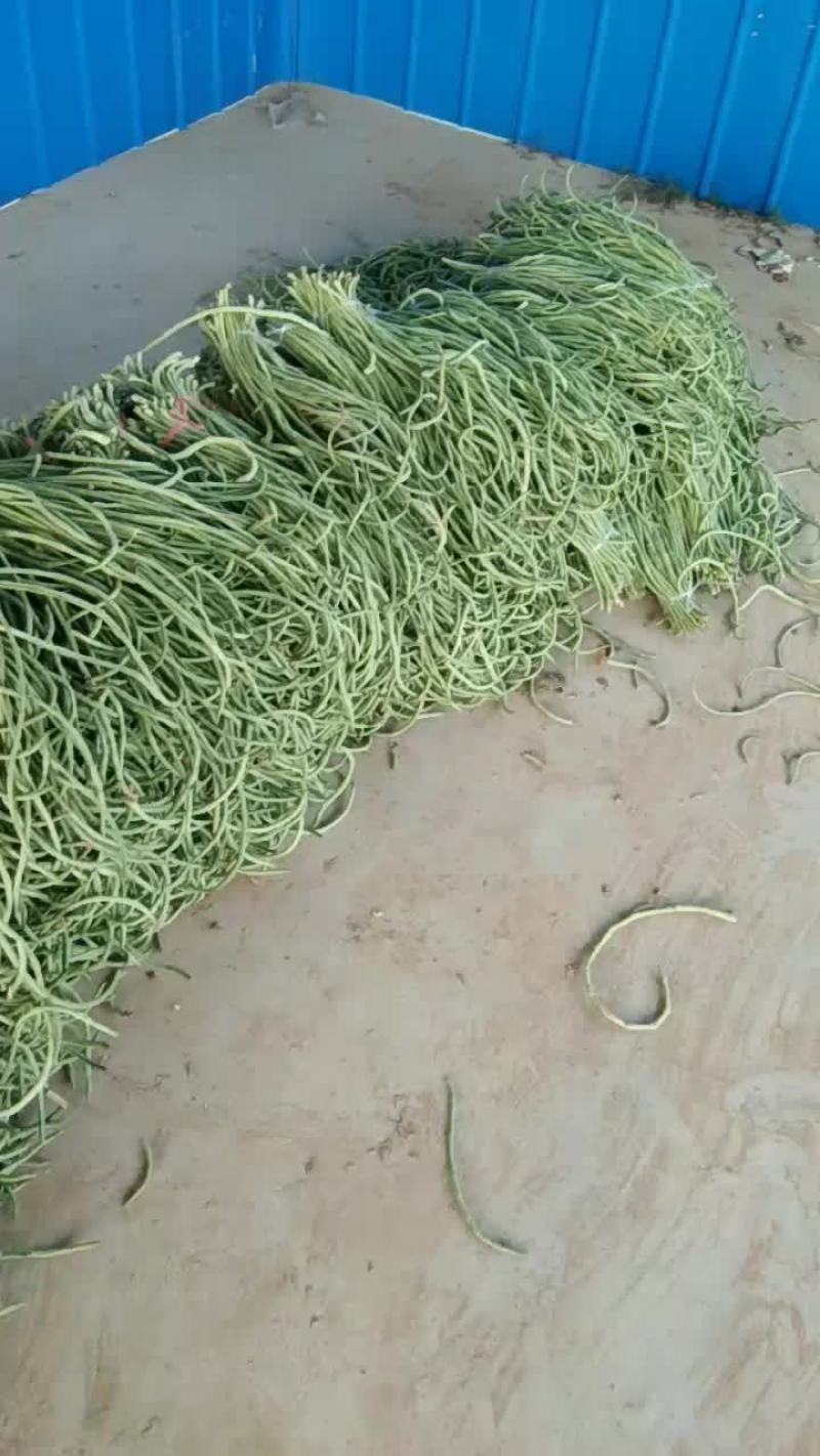 长豆角