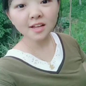 张家界深山八月瓜