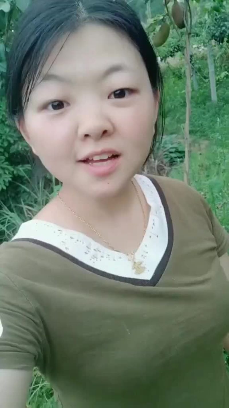 张家界深山八月瓜