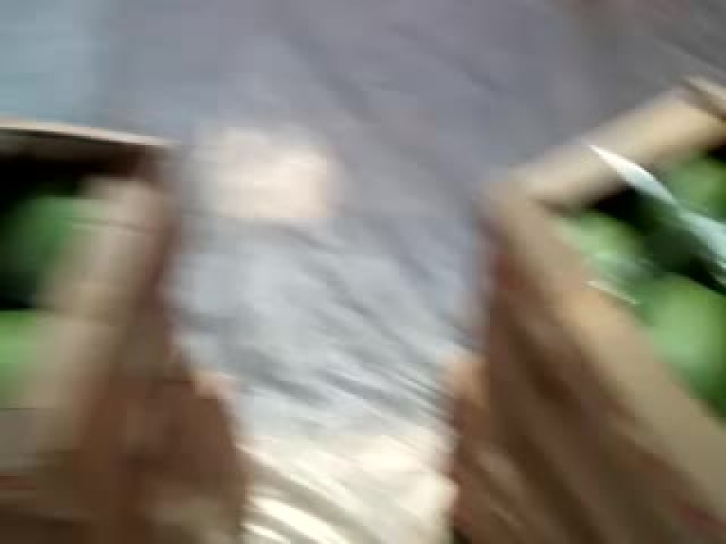 早春红玉