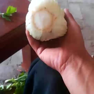 精品西芹