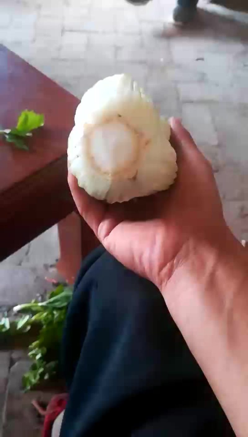 精品西芹