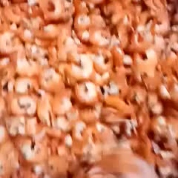 虾仁一级