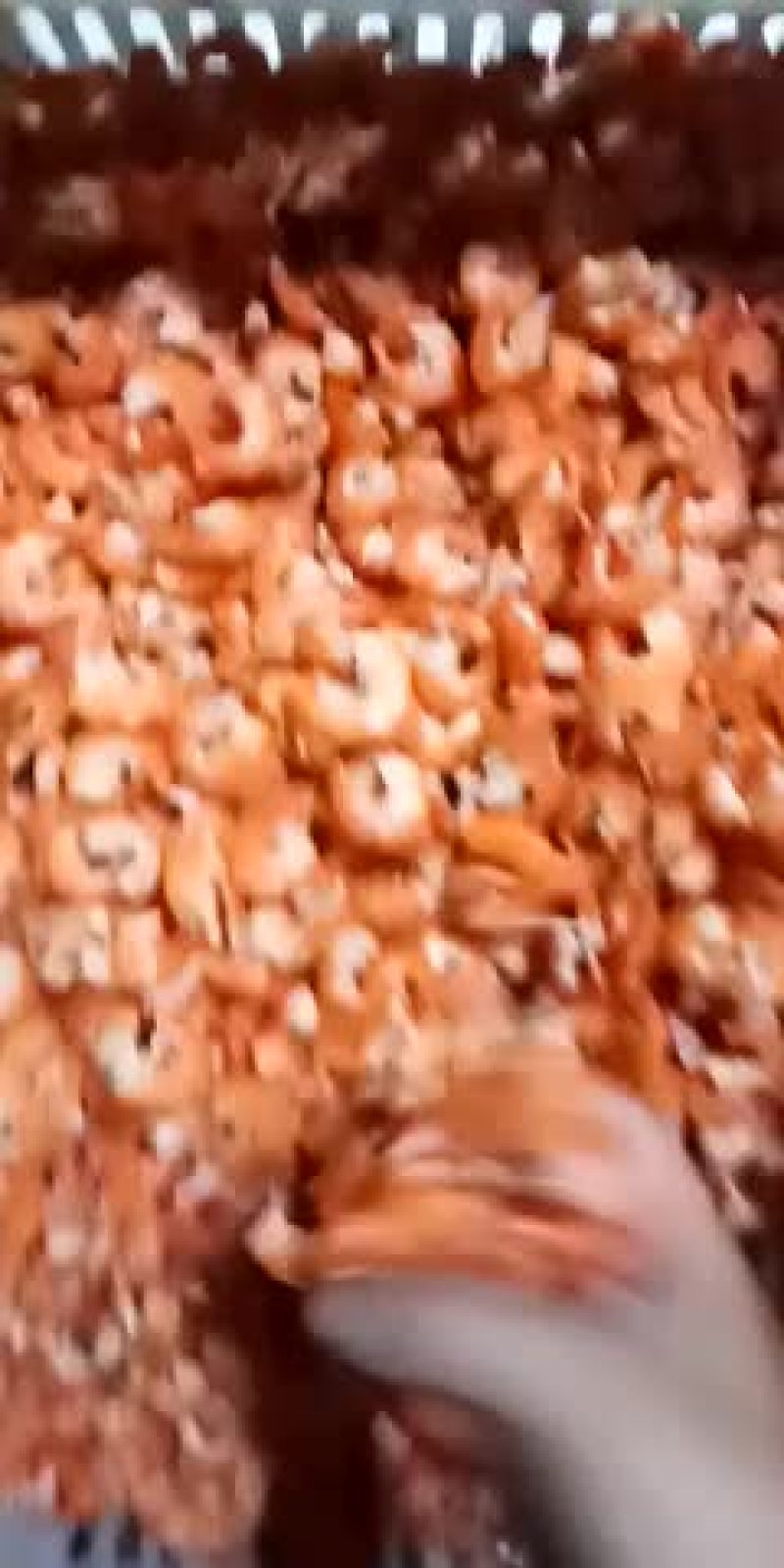 虾仁一级