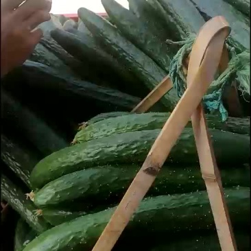 青瓜