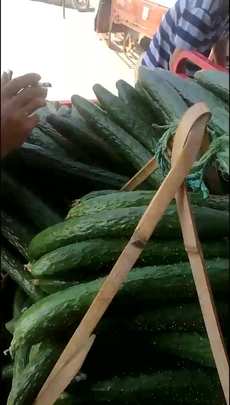 青瓜