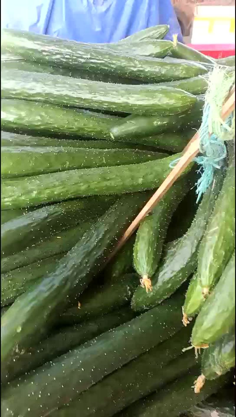青瓜
