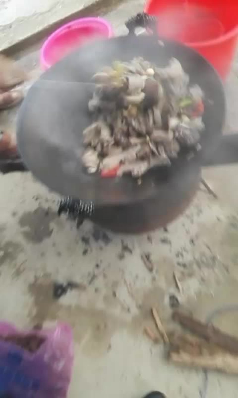 中华鲟