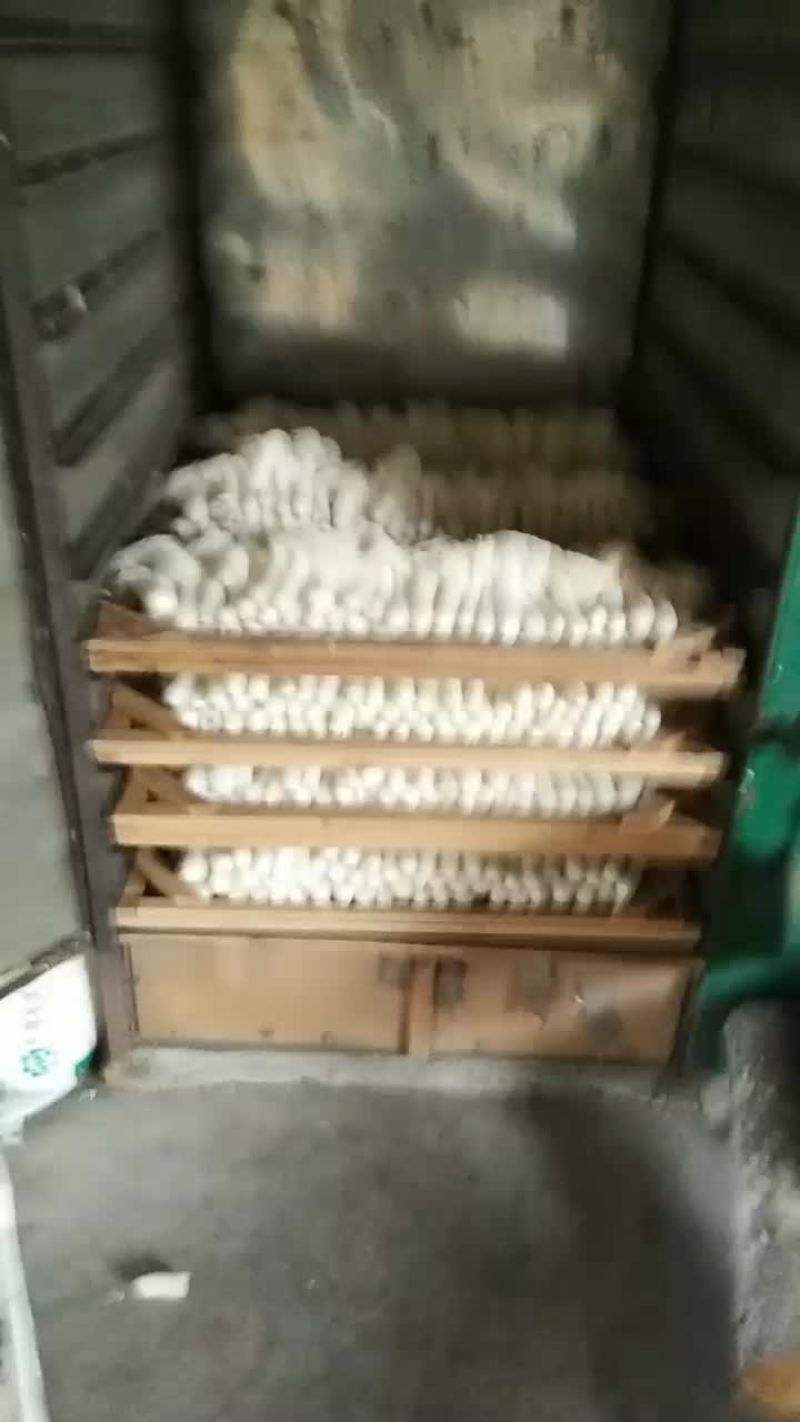 主营竹荪菇食用菌类干货