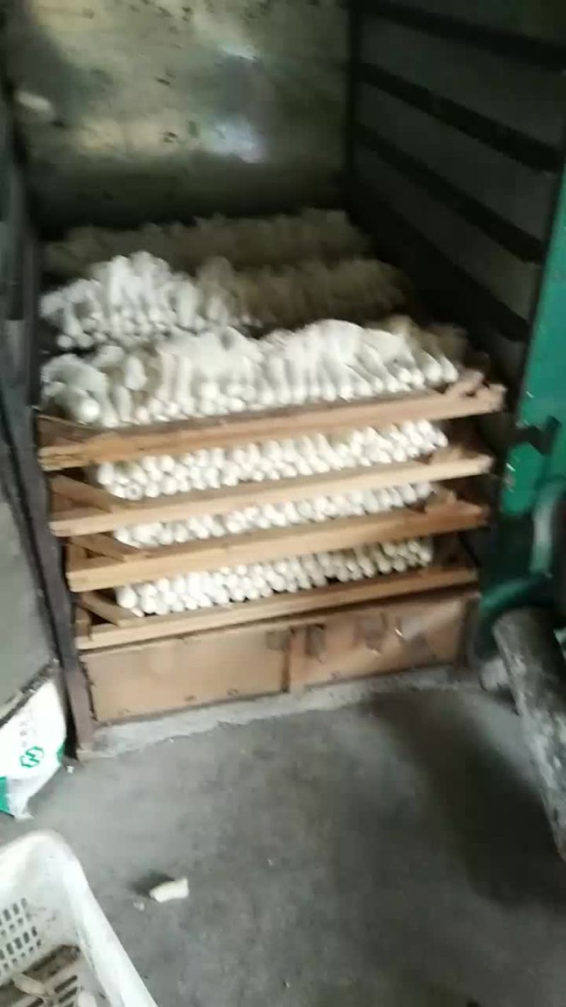 主营竹荪菇食用菌类干货