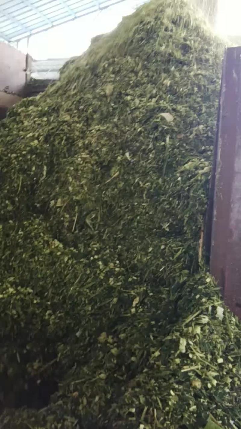 饲料