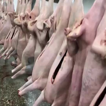 蒙古水煮带皮羊肉去皮羊肉