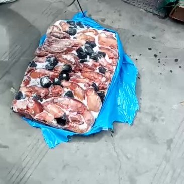 驴鞭。