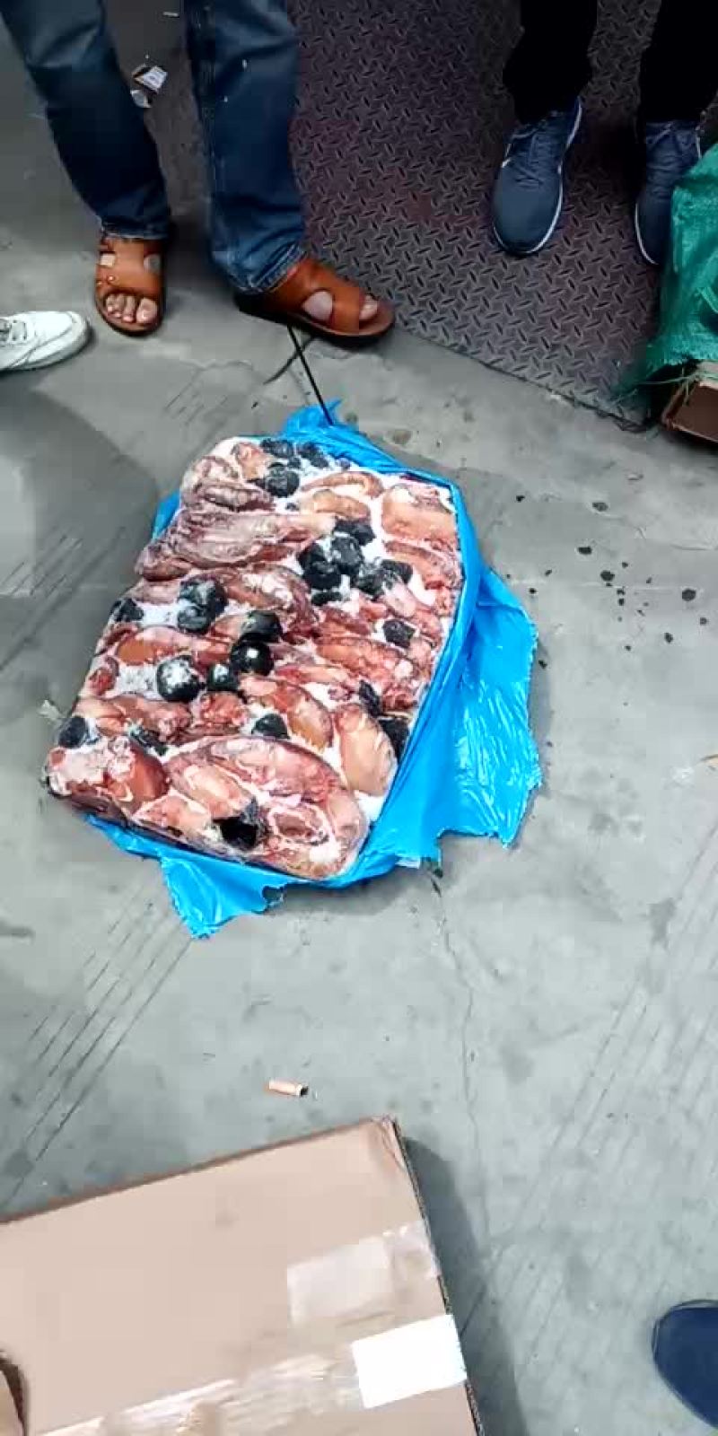 驴鞭。