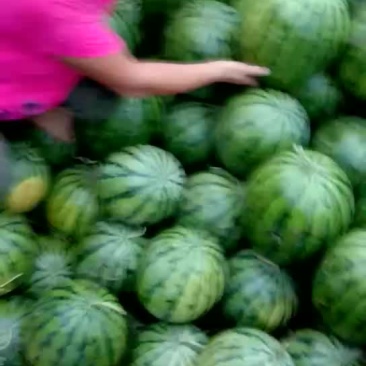 代收西瓜篓
