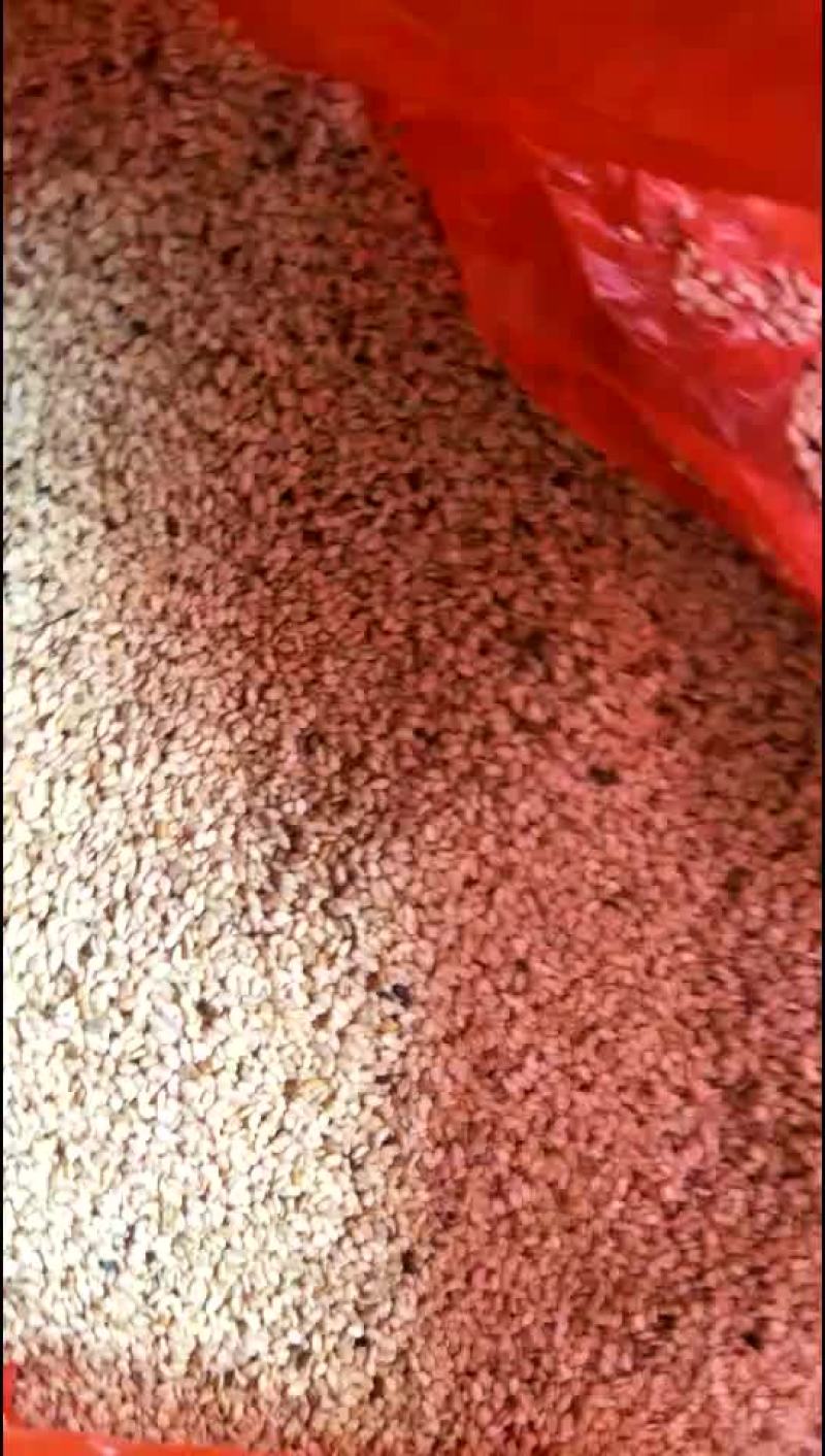 无公害地瓜，芝麻