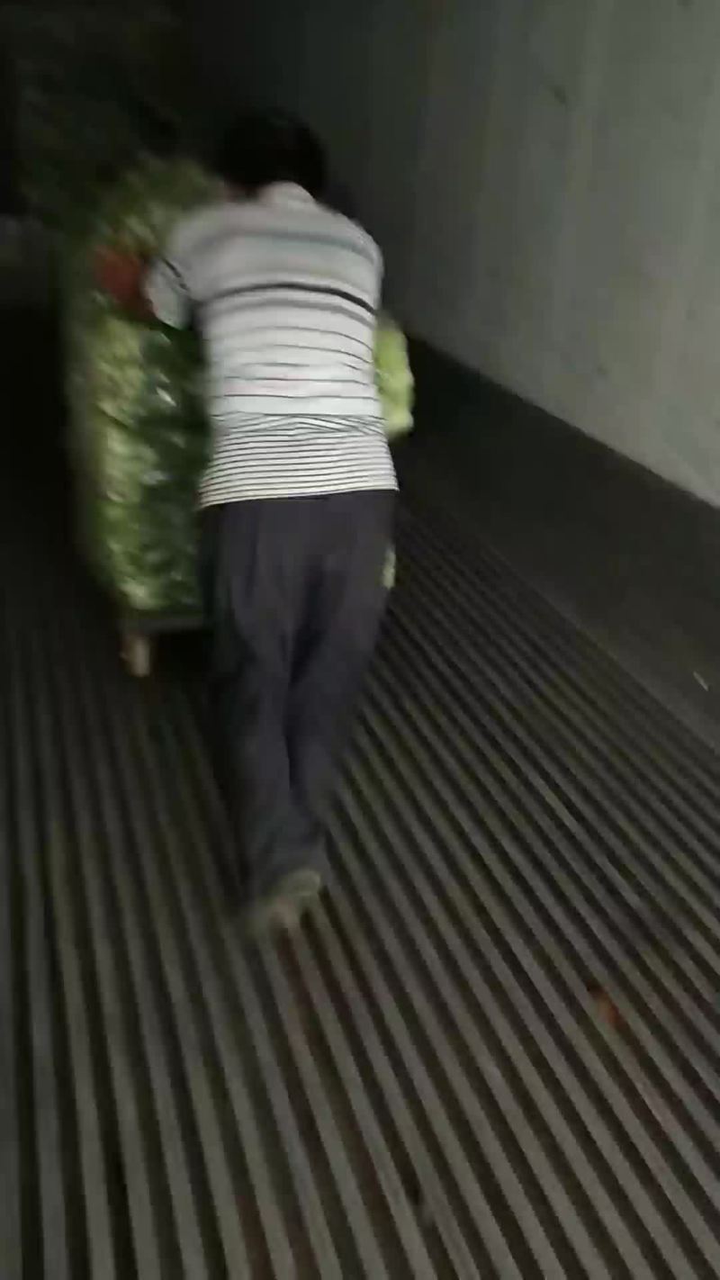 油菜
