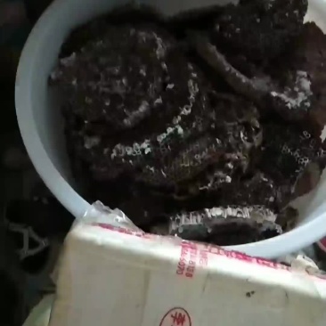 蜂巢多少都卖