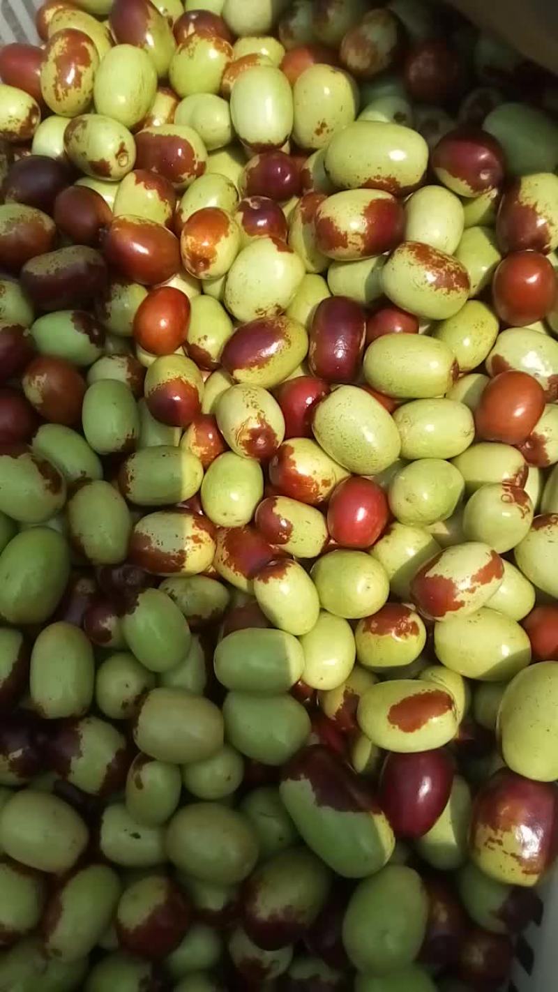 鸡心枣特供