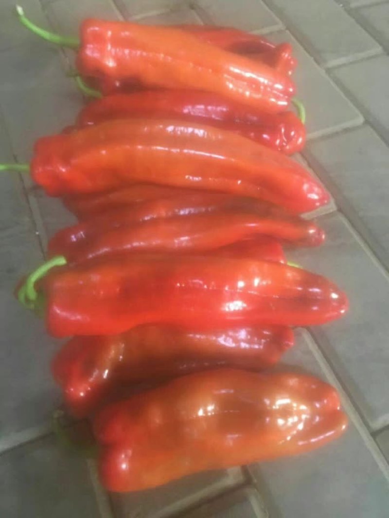 炒椒