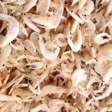 虾皮二级