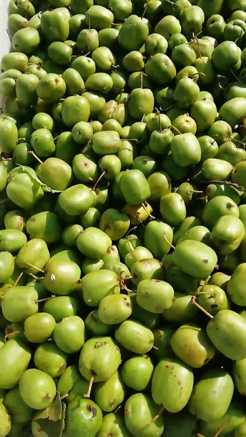 纯野生圆枣嘎嘎甜