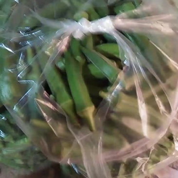黄秋葵