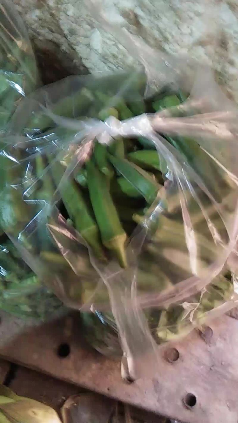 黄秋葵