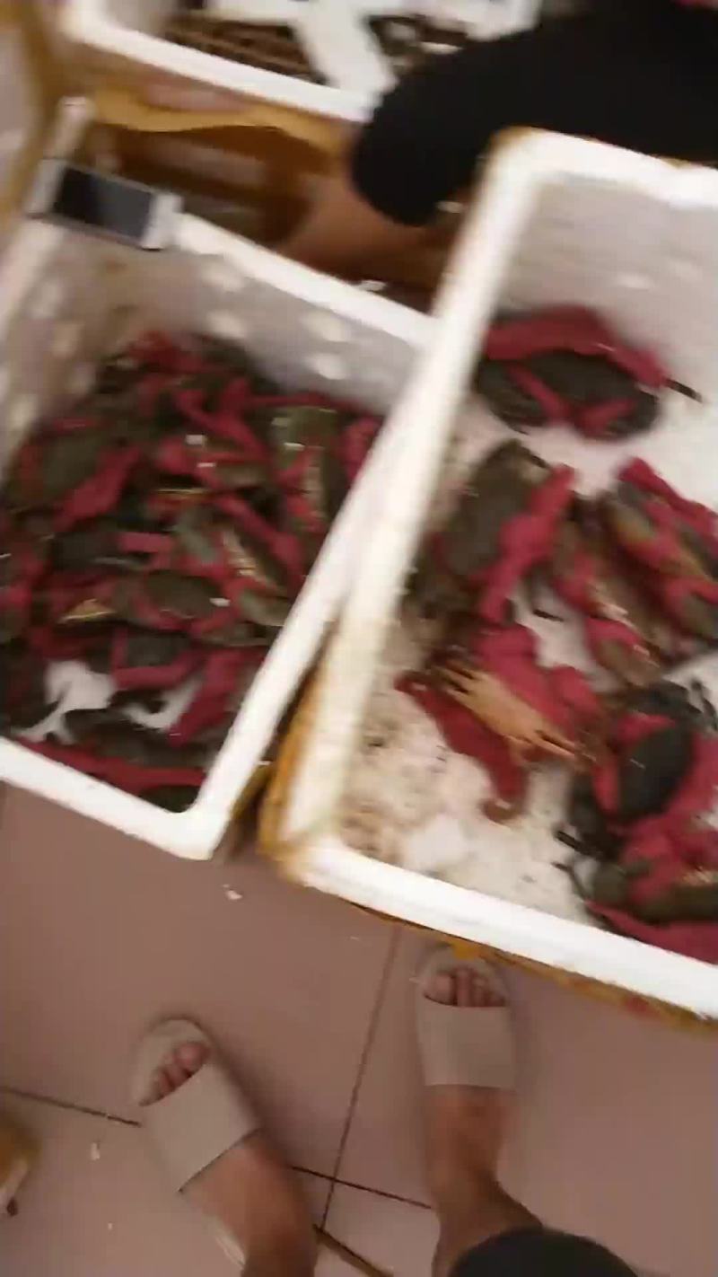 承接，酒店，超市，档口，个人