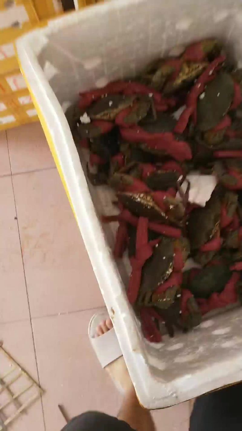 承接，酒店，超市，档口，个人