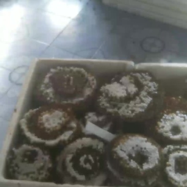 鲜货，冻货