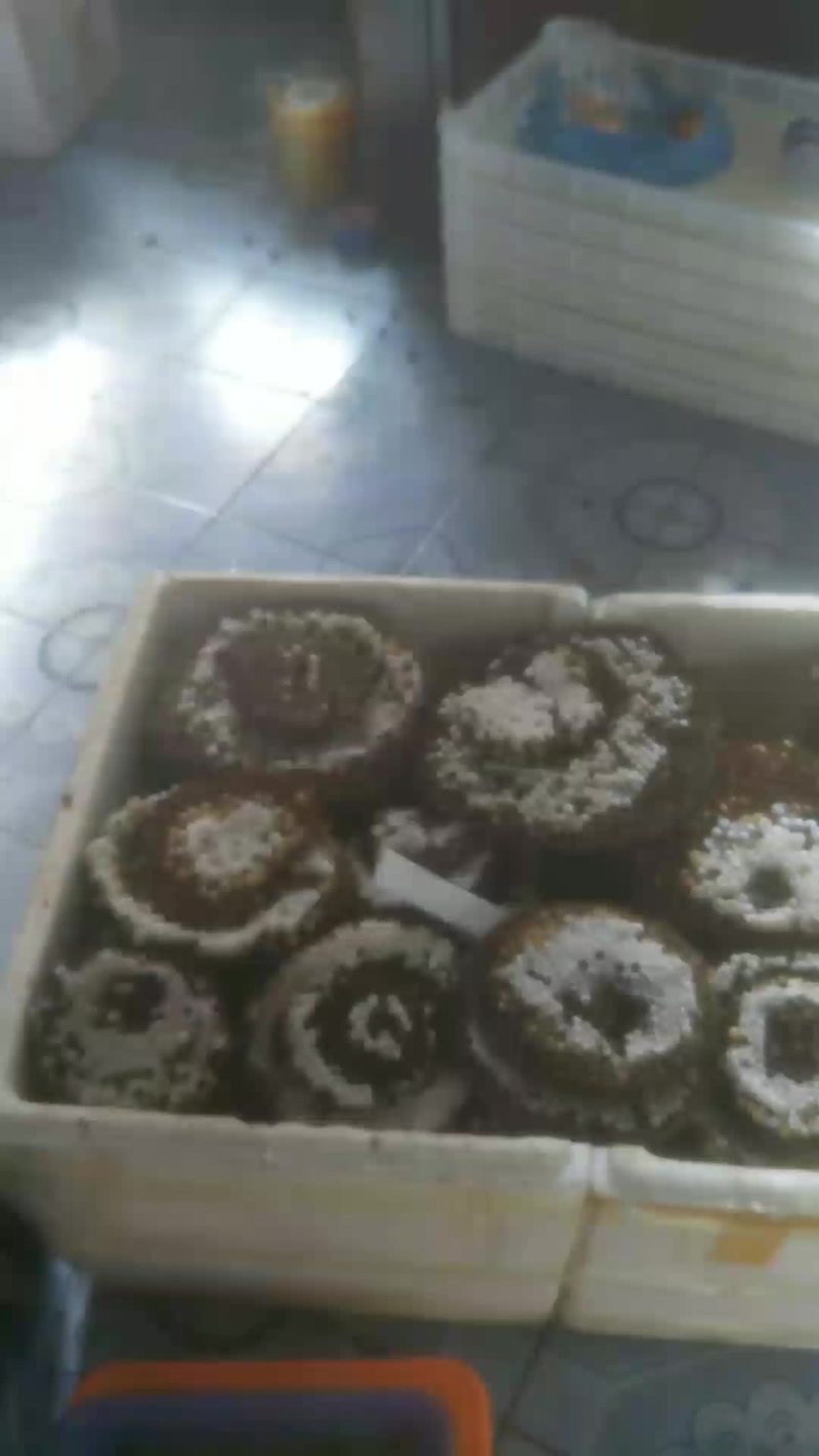 鲜货，冻货