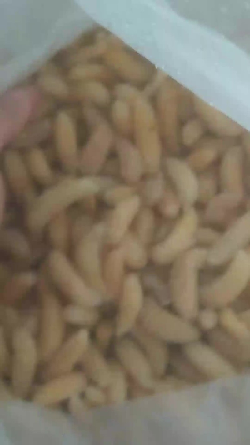 鲜货，冻货