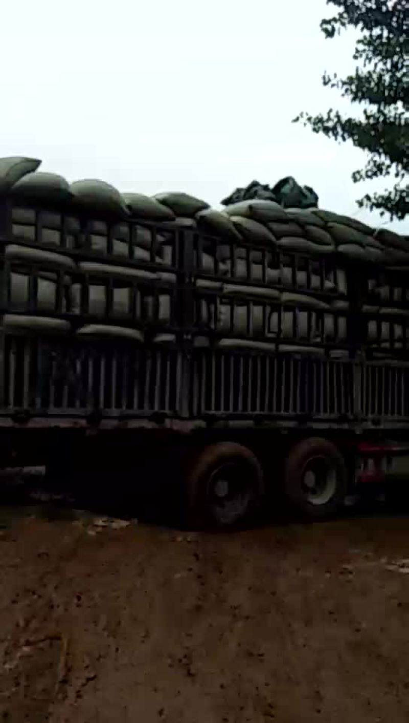 稻壳厂家直销