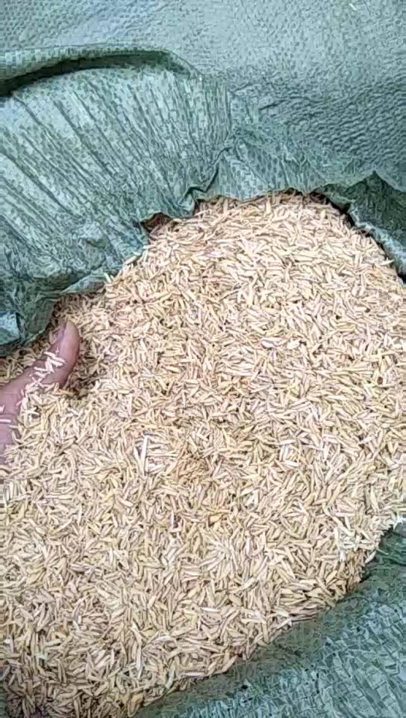 稻壳厂家直销