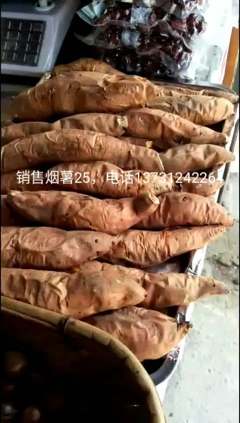 红薯