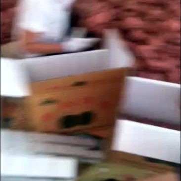 酥梨